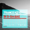 Armin van Buuren & Ferry Corsten - Festival