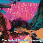 Random Noises and Organised Sounds - The Koolaid Electric Company