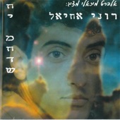 Holefet Ona (חולפת עונה) artwork