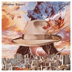 Weather Report - Harlequin