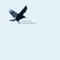 Dark Days - Roger O'Donnell lyrics