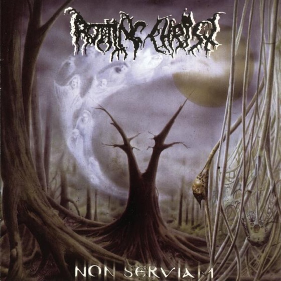 Cover artwork for Non Serviam
