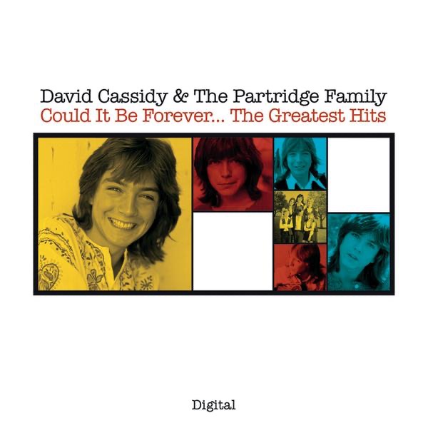 David Cassidy - If I Didnt Care