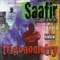 Birthday Suit - Saafir lyrics