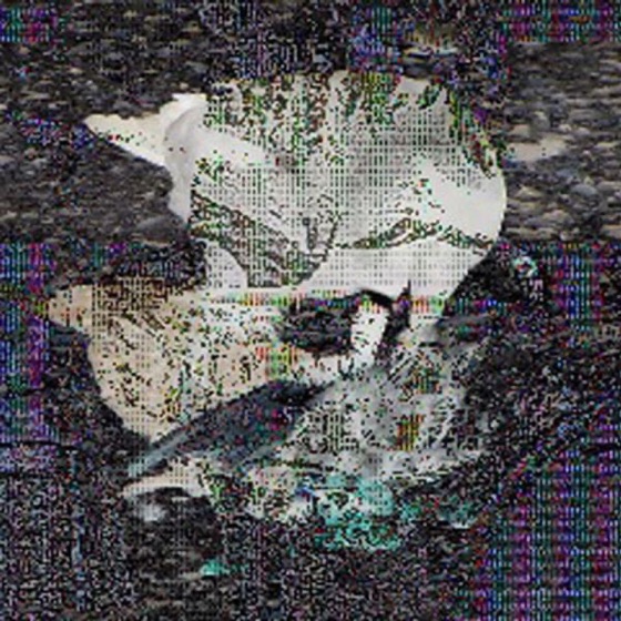 Cover artwork for Full Moon (Death Classic)