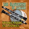 Polkeando en Linares, 2014