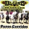 El Rengo Del Gallo Giro - Los Halcones de San Luis lyrics