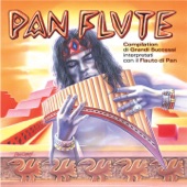 Panflute (Ecosound Musica Indiana Andina) artwork
