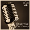 Essential Doo-Wop, 2012