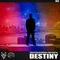 Destiny - Dj Beloved, Shane The Golden Voice & Reggie Steele lyrics