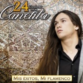 Mis Éxitos, Mi Flamenco. 24 Canciones del Canelita artwork