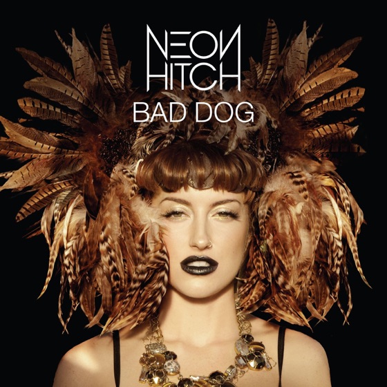 Cover artwork for Bad Dog (DJ Chuckie Remix)