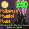 Pro Sound Effects Library - Halloween Haunted House