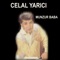 Hazal - Celal Yarici lyrics