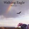 Desert Run (Contrabass Native American Flute) - Walking Eagle lyrics