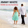 Warm (In the Sunshine) - Single