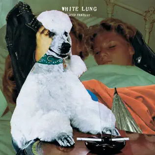 baixar álbum White Lung - Deep Fantasy