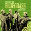 Best of the Bluegrass Bands