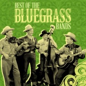 The Nashville Bluegrass Band - Biggest Liars In Town