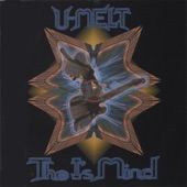 Ernest Funknine - U-Melt