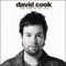 The Time of My Life - David Cook lyrics