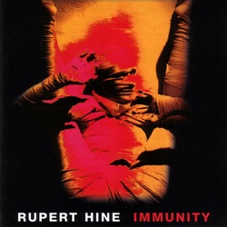 Rupert Hine - I Hang On to My Vertigo