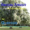 Outside Looking In - Quercus lyrics