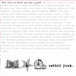 This Life Is Where You Get Fucked - Rabbit Junk