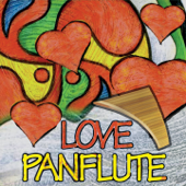 Love panflute (Ecosound musica indiana andina) - Ecosound