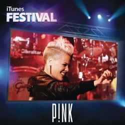 P!nk - Dear Mr. President