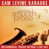 Sam Levine Karaoke - Smooth Praise (Instrumental Tracks Without Lead Track) artwork