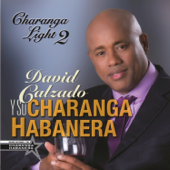 Charanga Light 2 - David Calzado y Su Charanga Habanera