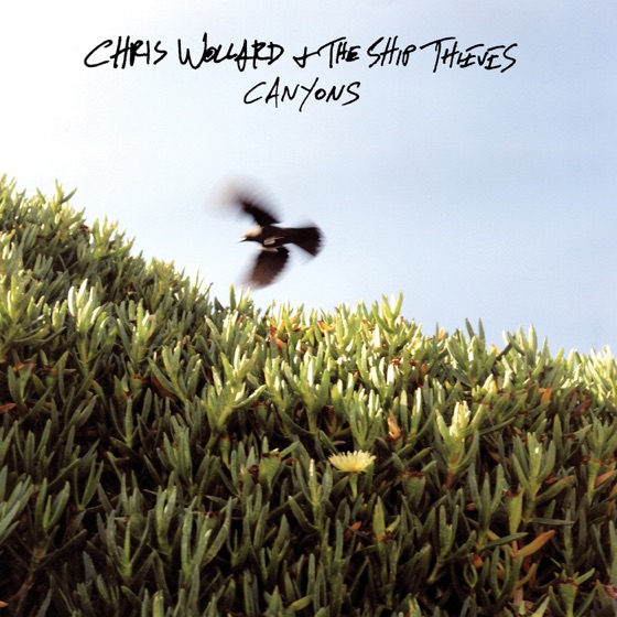 Cover artwork for Lonely Days