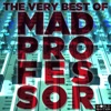 The Very Best of Mad Professor, 2013