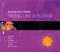 Fading Like a Flower (Radio Edit) - Dancing DJs & Roxette lyrics