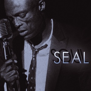 Seal - I Can't Stand the Rain - 排舞 音乐