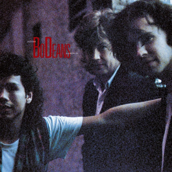 Cover artwork for Fool