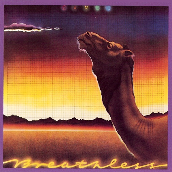 Cover artwork for Echoes