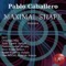 Maximal Shape (Rico Buda Remix) - Pablo Caballero lyrics
