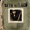 Seth Walker, 2007