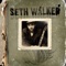 Steady - Seth Walker lyrics