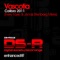 Calibro 2011 (Jonas Stenberg Remix) - Vascotia lyrics