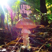 Little Wings - I Waited On The Door