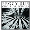 Choir of Echoes artwork