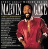 Every Great Motown Hit of Marvin Gaye artwork