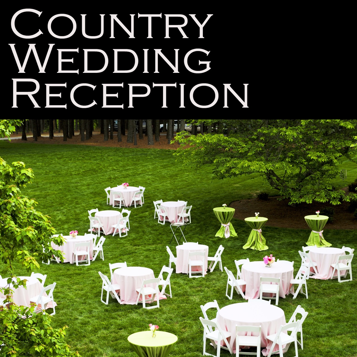 Country Wedding Reception Album Cover By Various Artists