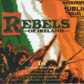 Rebels of Ireland (16 Patriotic Irish Songs) artwork