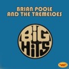 Brian Poole - Someone Someone