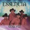 No Digas Nada - Essencia lyrics