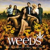 Weeds, Vol. 2 (Soundtrack from the TV Show) artwork